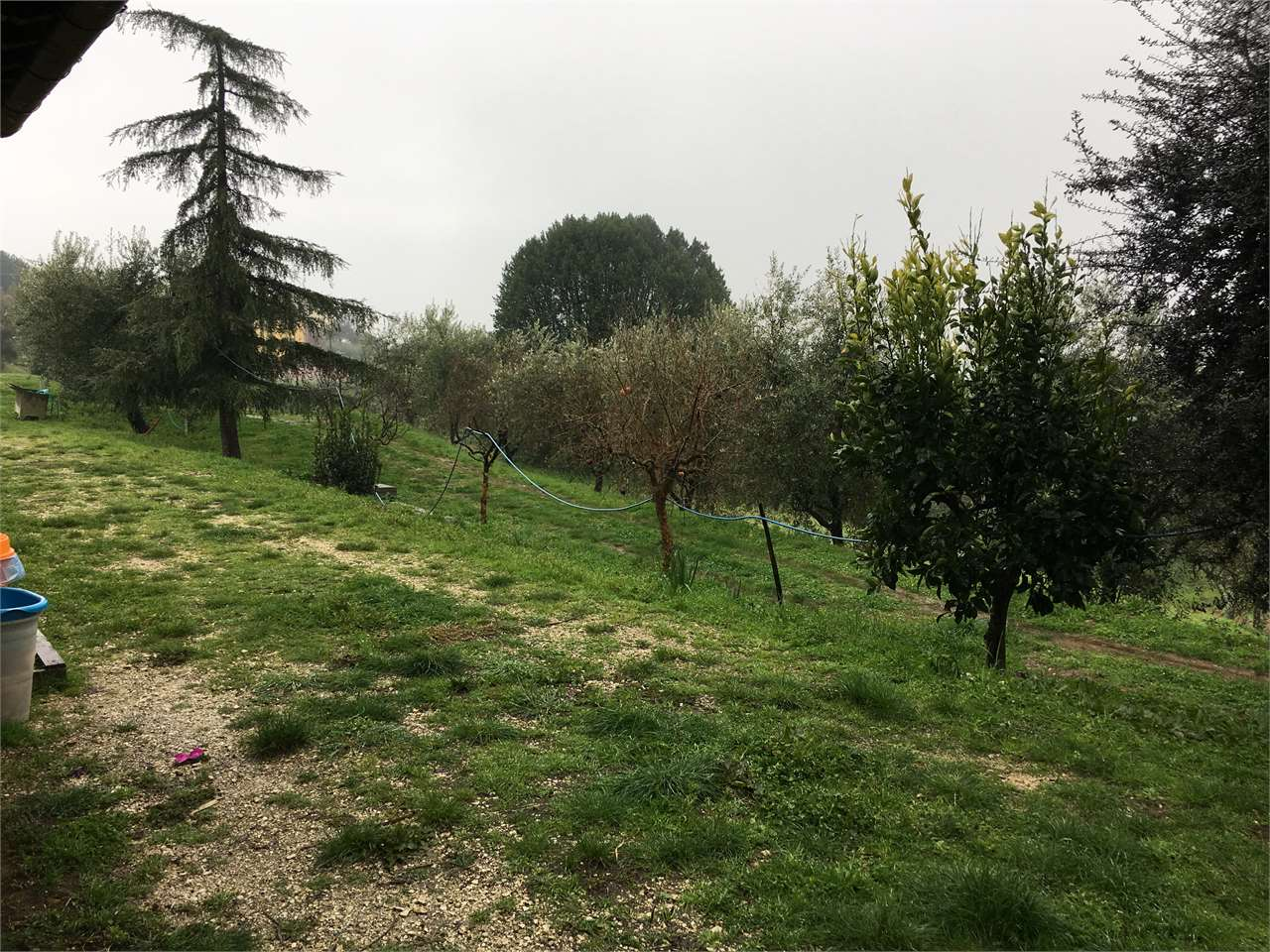 immagine annuncio 1 di 2