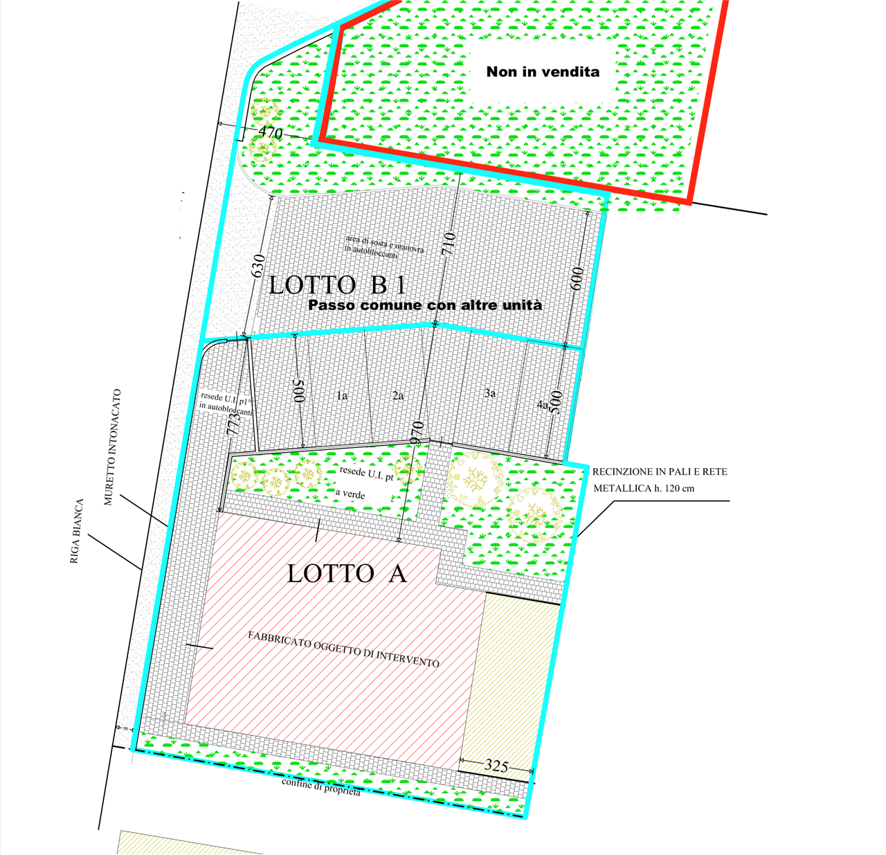 immagine annuncio 7 di 8