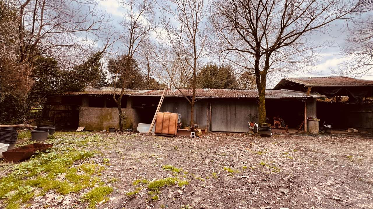 immagine annuncio 9 di 10