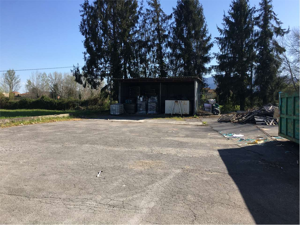 immagine annuncio 3 di 8