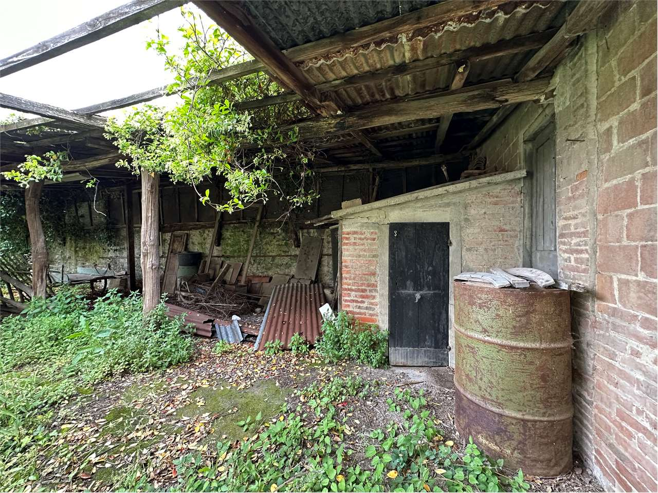 immagine annuncio 2 di 3