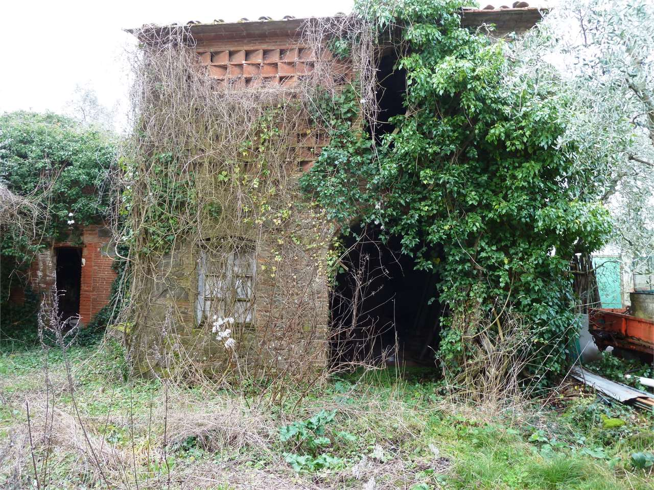 immagine annuncio 4 di 10