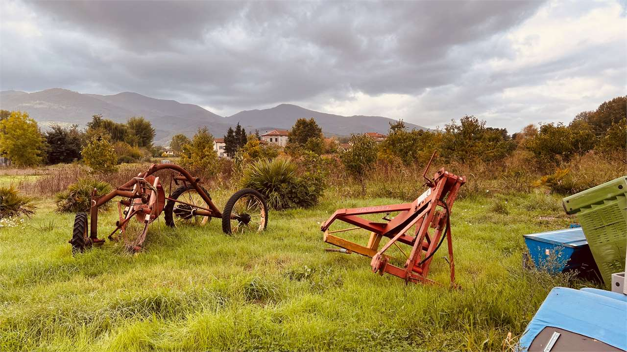 immagine annuncio 2 di 10