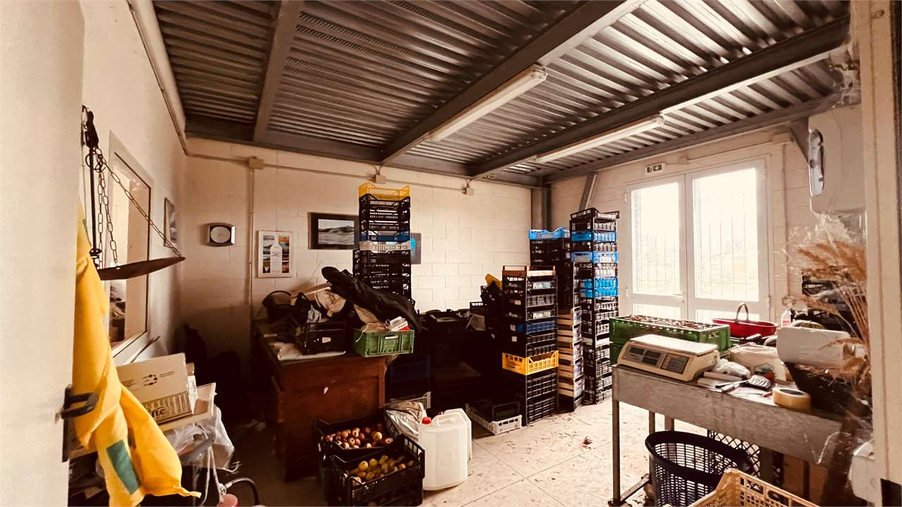 immagine annuncio 7 di 10