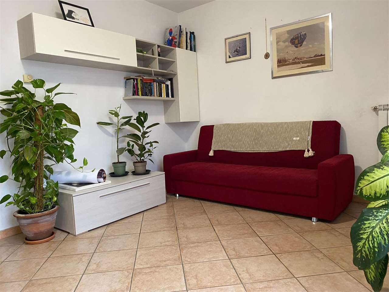 immagine annuncio 4 di 10