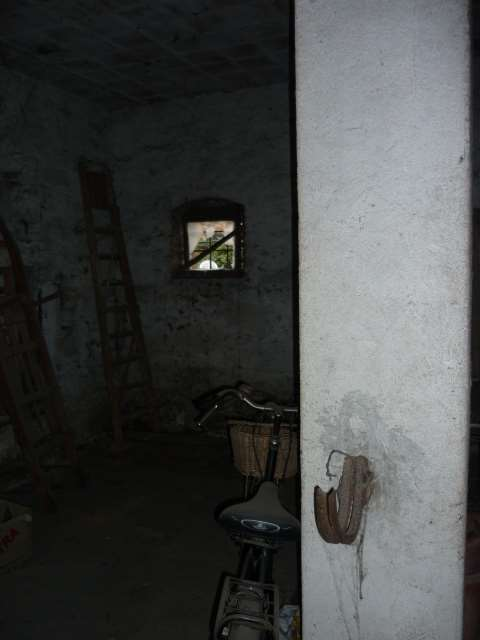 immagine annuncio 3 di 7