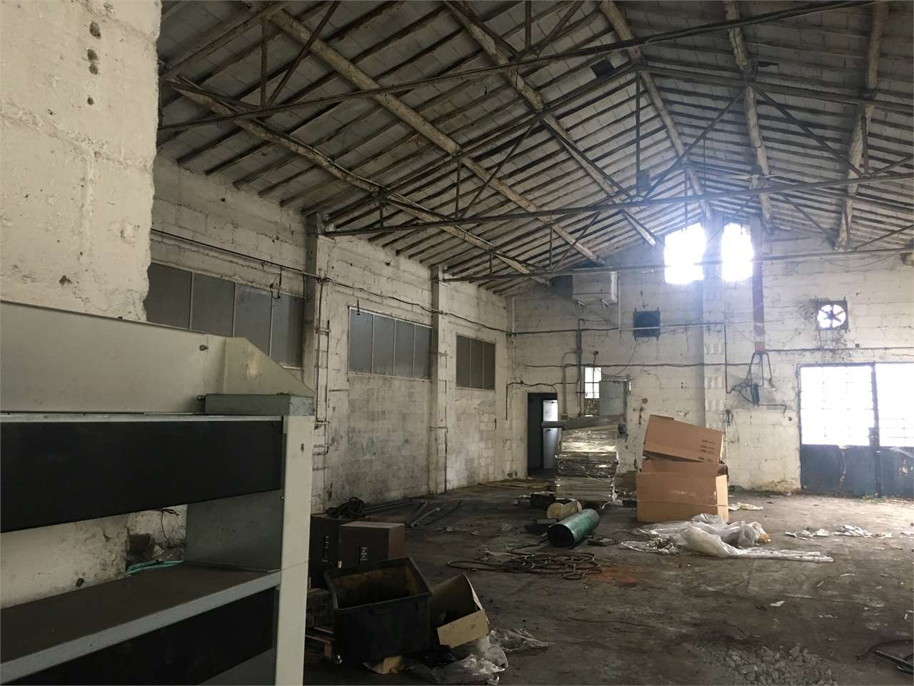 immagine annuncio 3 di 7