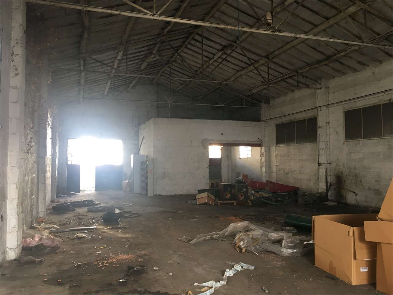 immagine annuncio 2 di 7