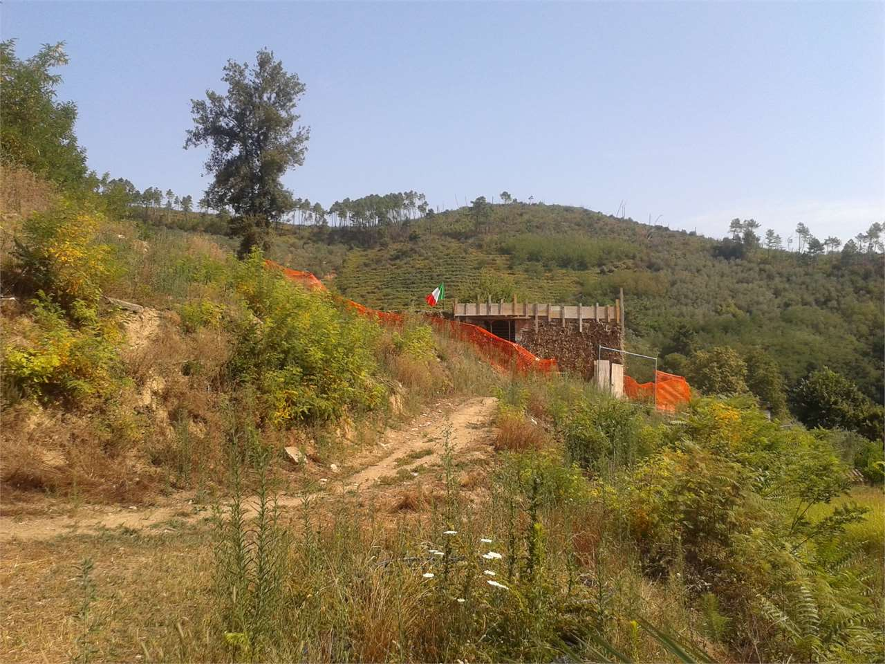 immagine annuncio 2 di 10