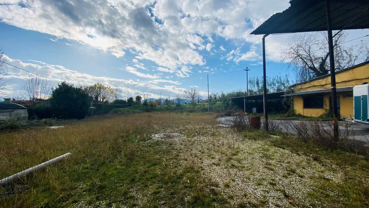 immagine annuncio 1 di 9