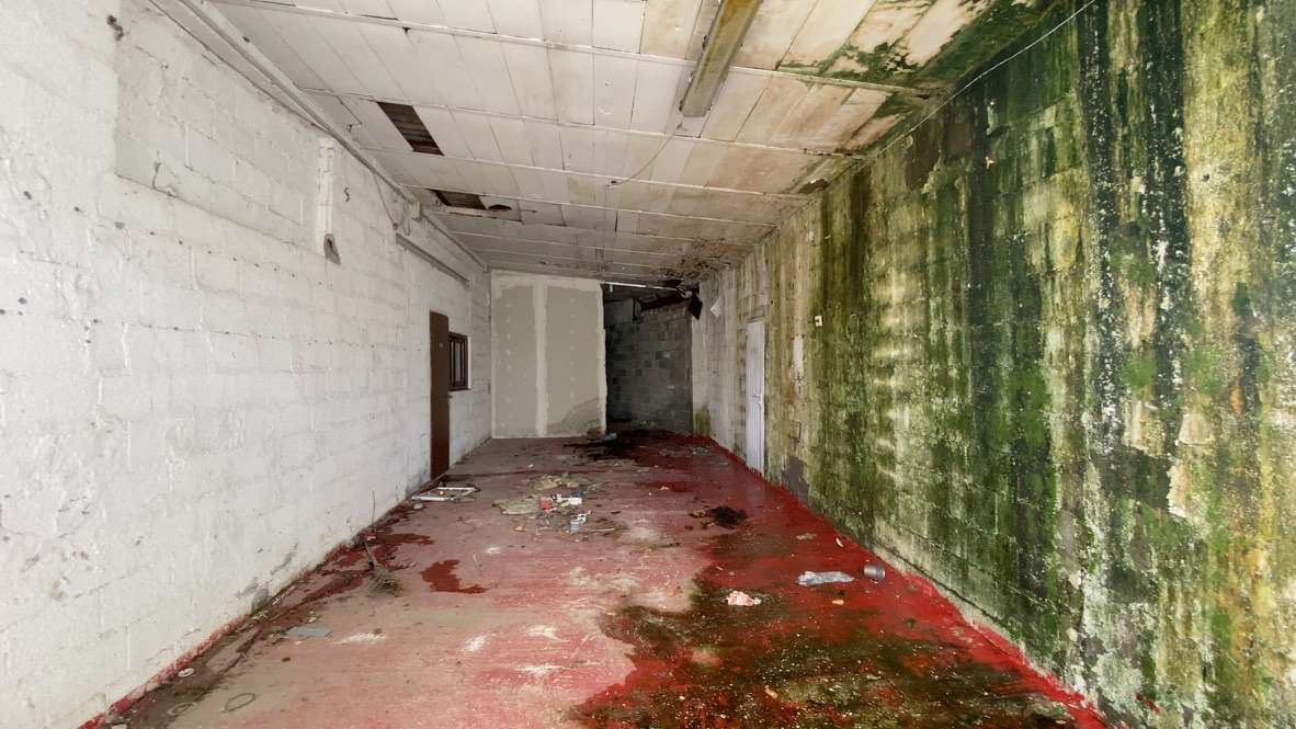 immagine annuncio 2 di 9