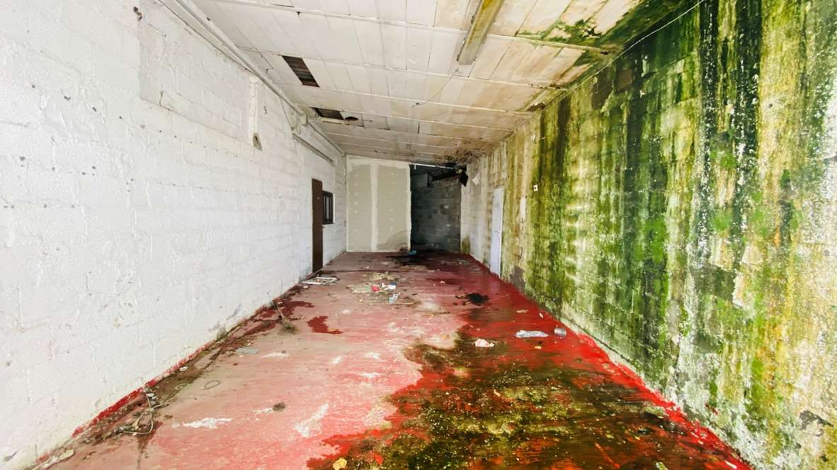 immagine annuncio 3 di 9