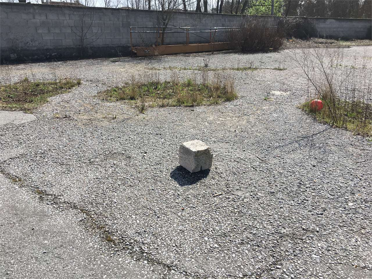 immagine annuncio 6 di 7