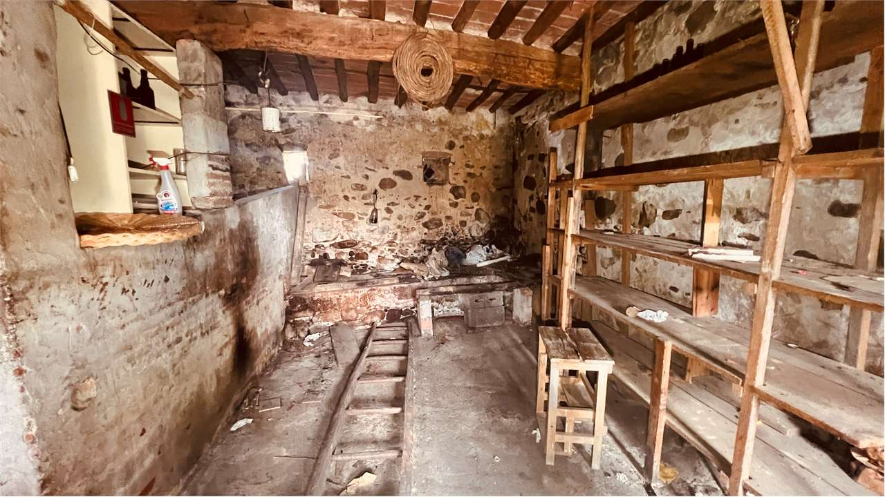 immagine annuncio 4 di 7