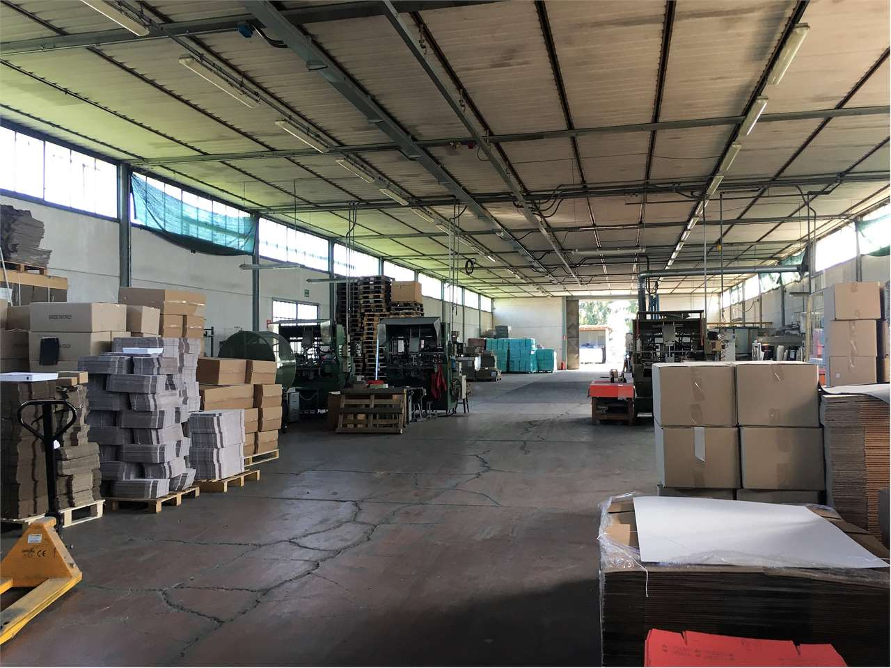 immagine annuncio 1 di 8