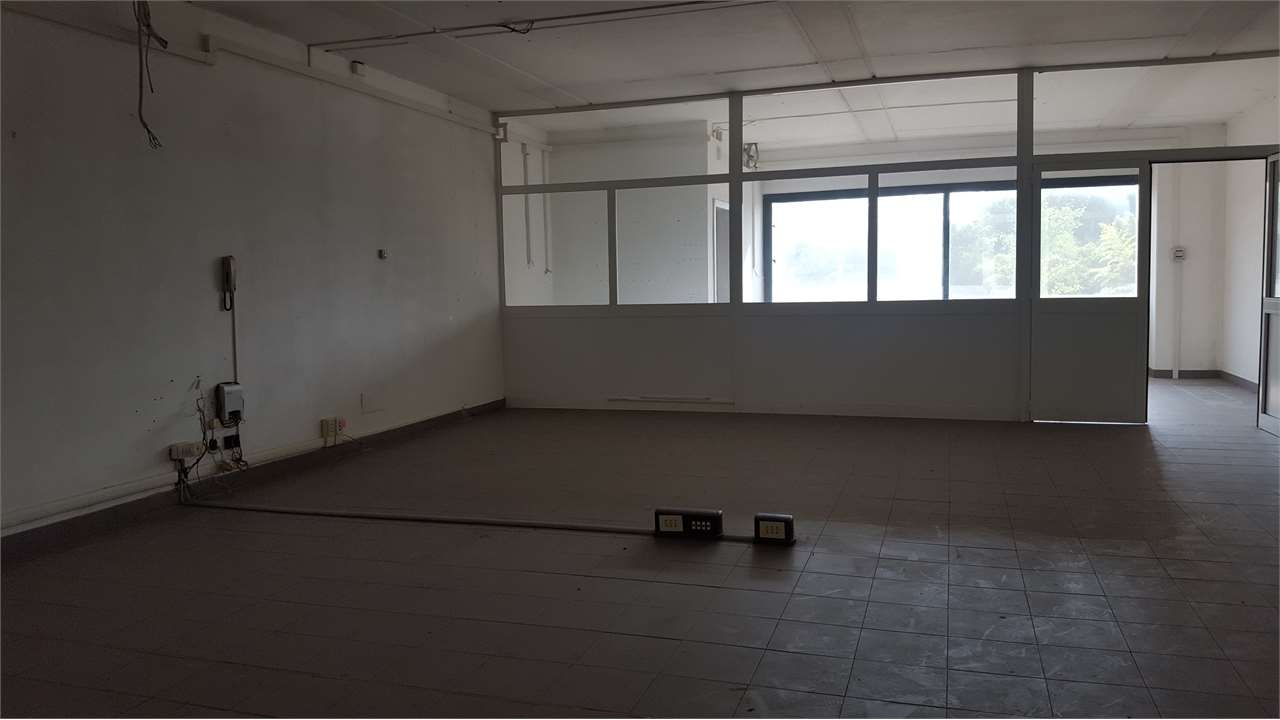 immagine annuncio 2 di 8