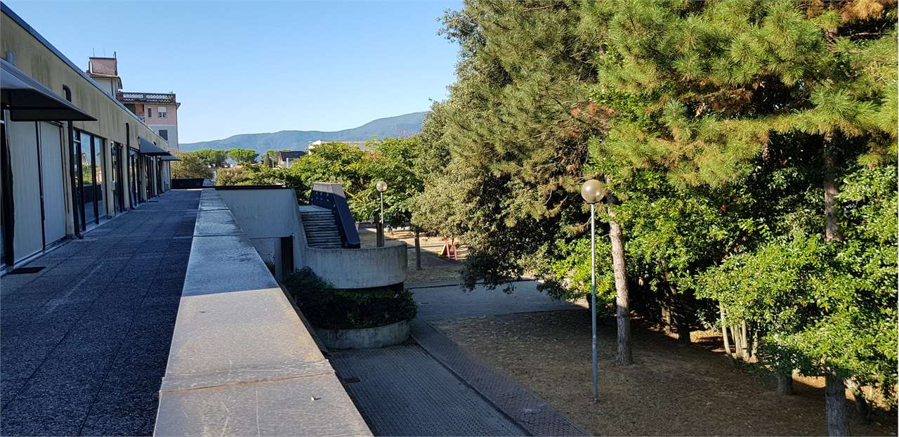 immagine annuncio 7 di 8