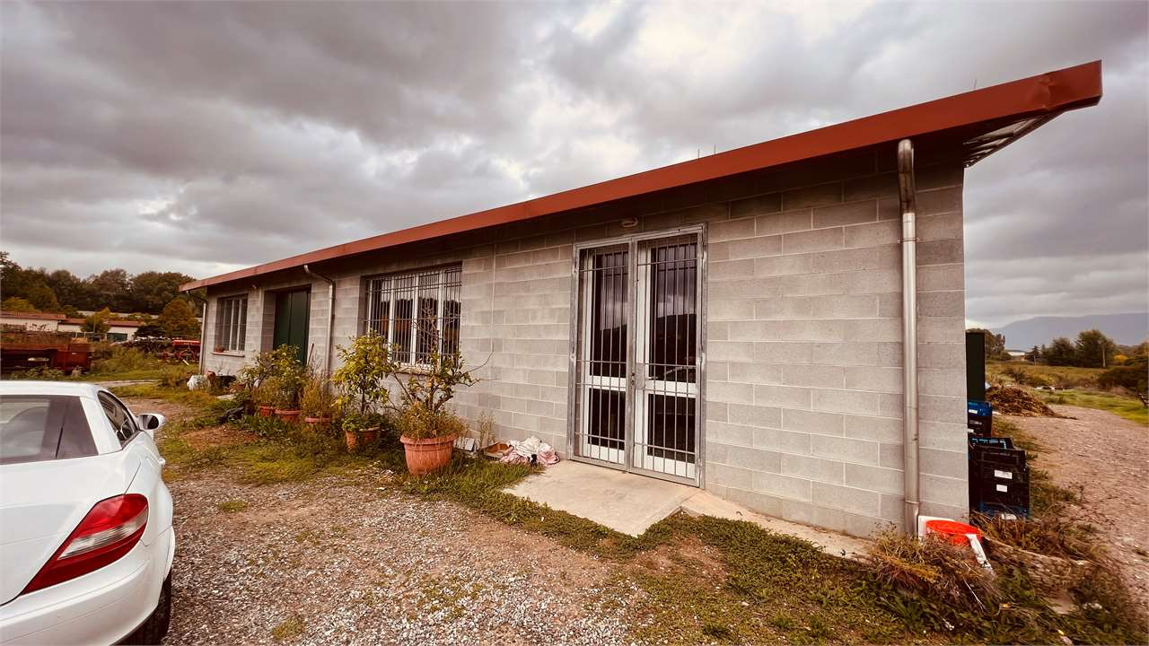 immagine annuncio 2 di 10