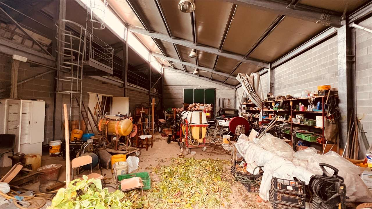 immagine annuncio 4 di 10