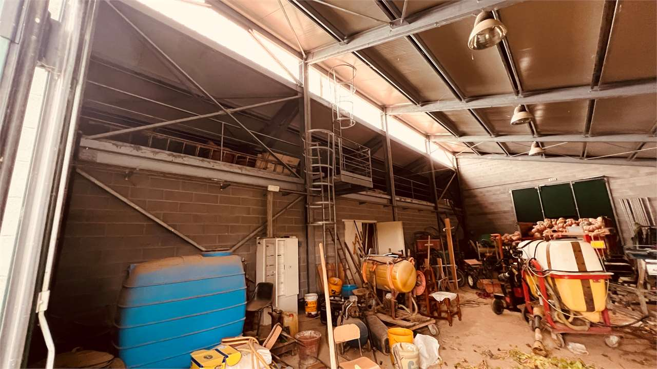 immagine annuncio 5 di 10