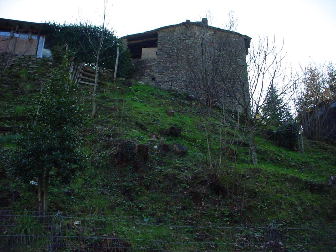 immagine annuncio 4 di 7