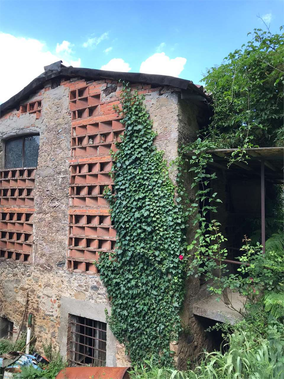 immagine annuncio 2 di 9