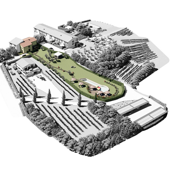 immagine annuncio 2 di 9