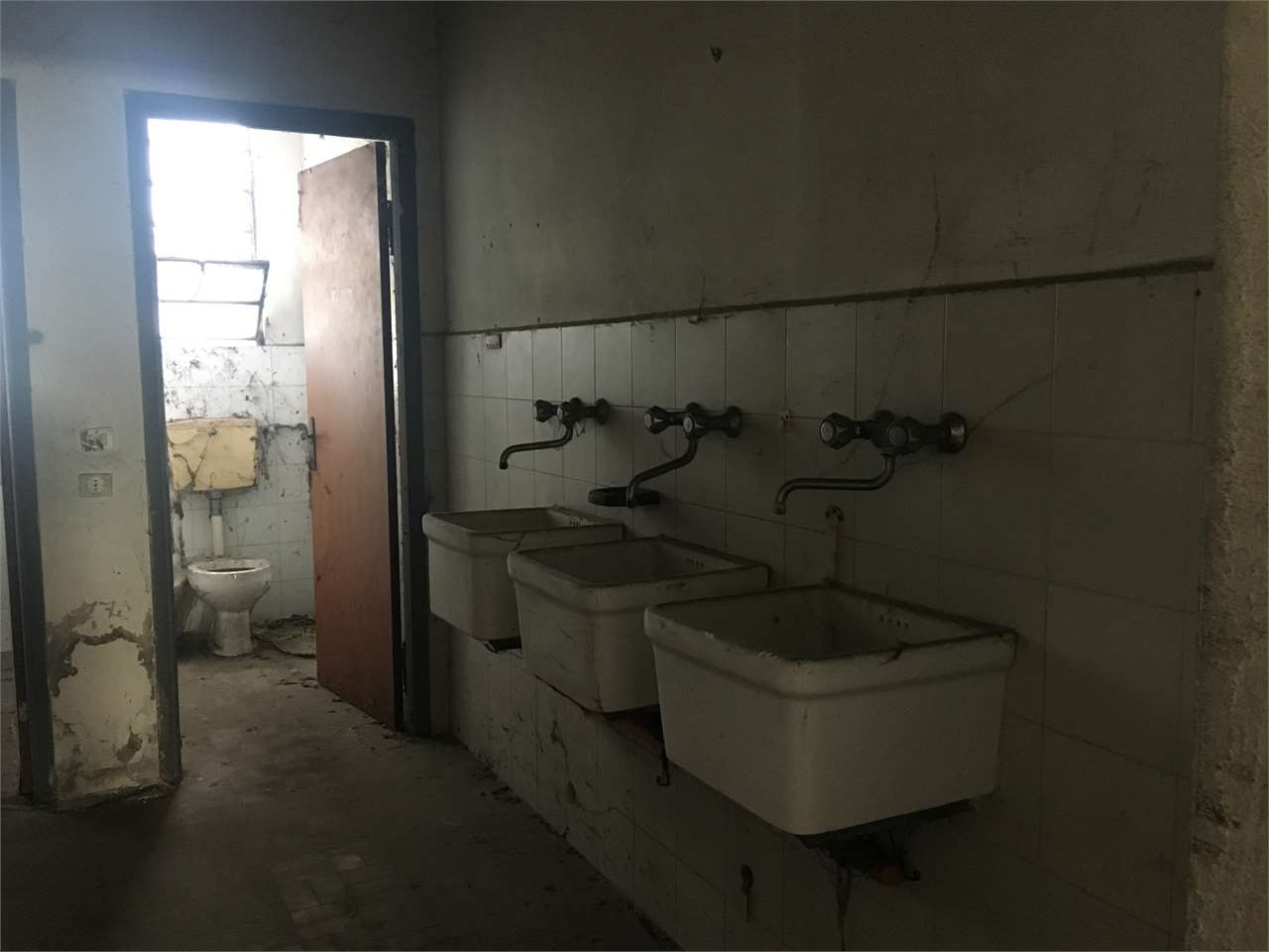 immagine annuncio 4 di 7