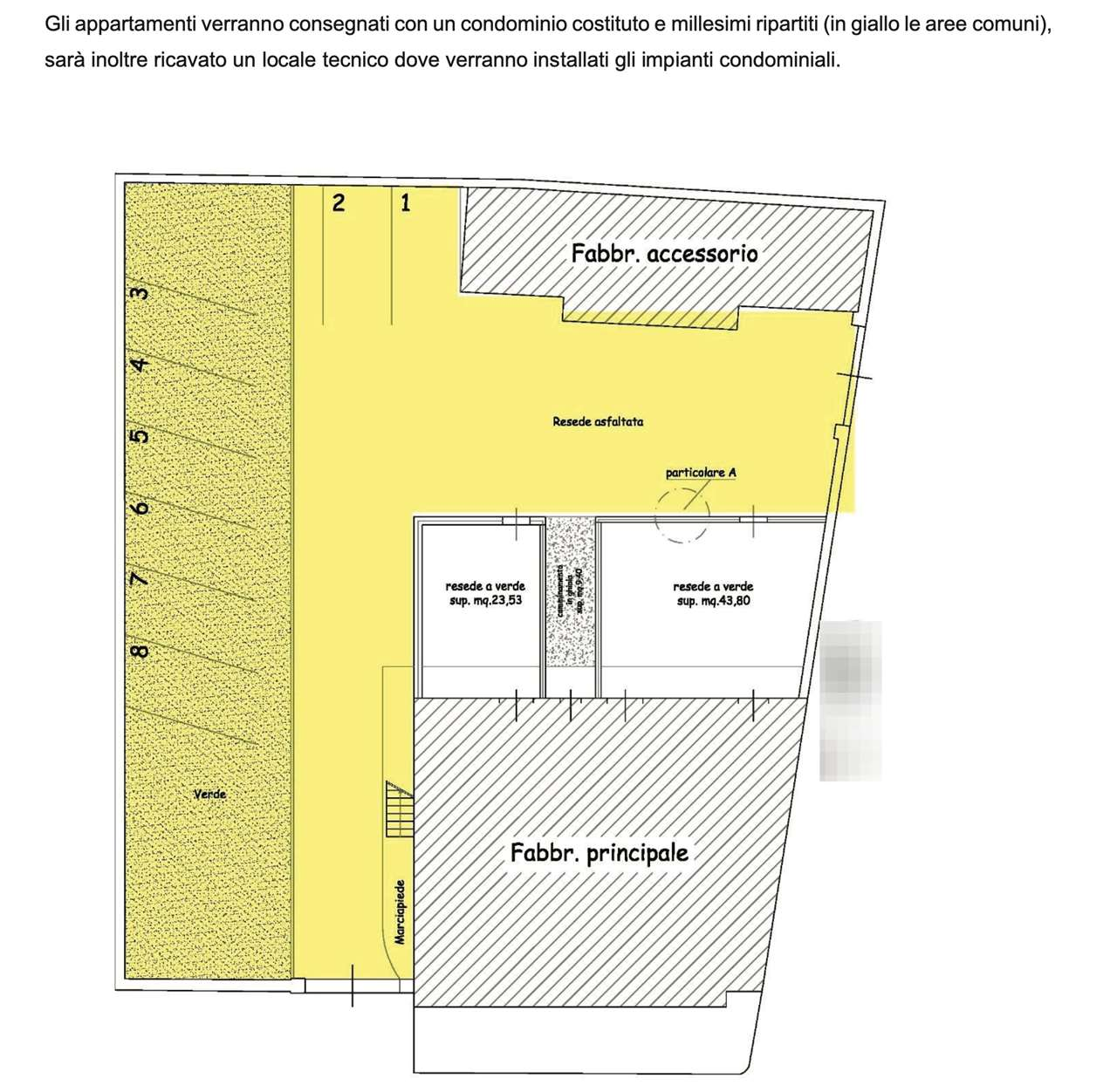 immagine annuncio 4 di 10