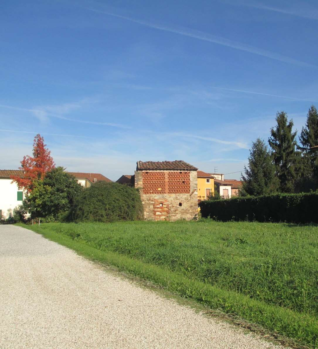 immagine annuncio 1 di 2