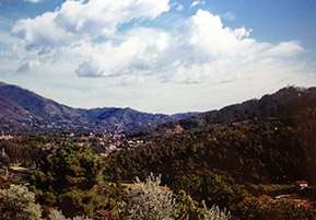 immagine annuncio 5 di 9