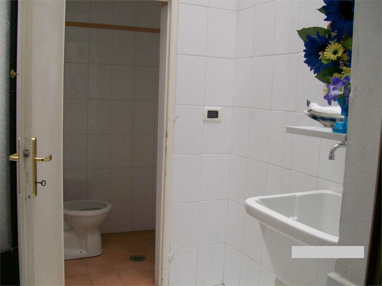 immagine annuncio 5 di 7