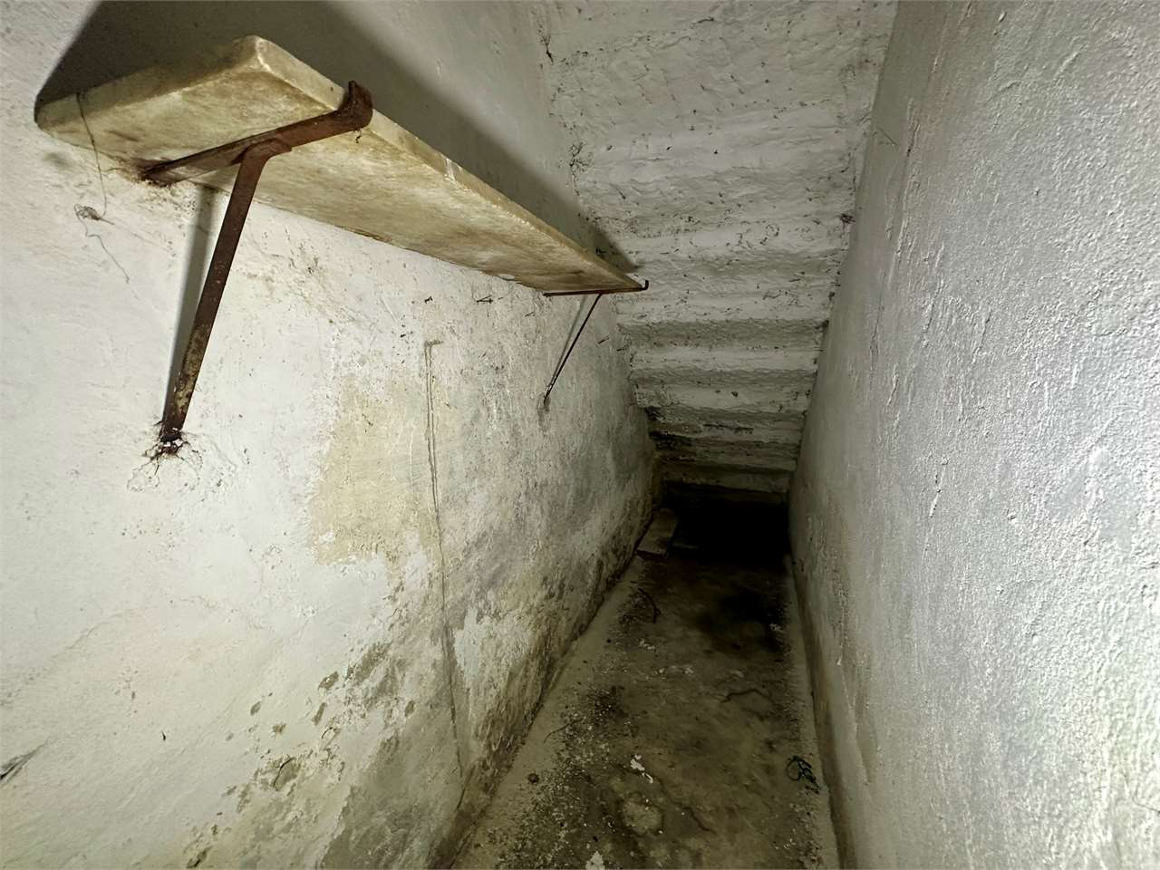 immagine annuncio 4 di 6