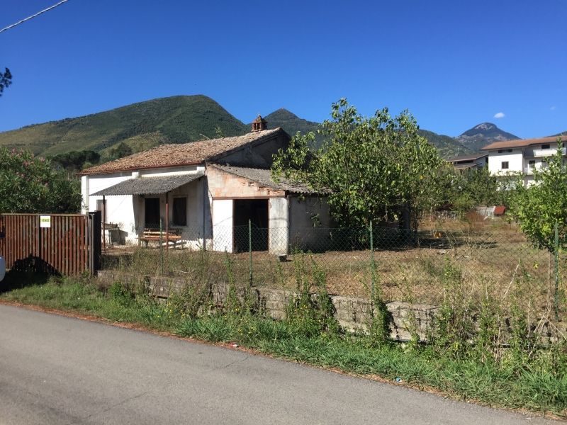 immagine annuncio 2 di 4