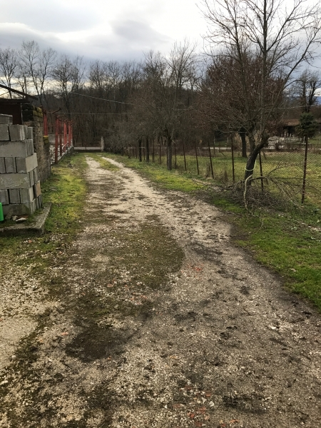immagine annuncio 3 di 6