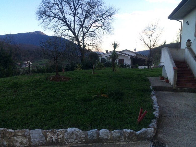 immagine annuncio 5 di 10