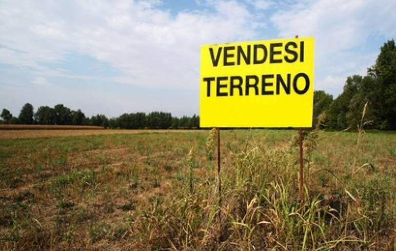 immagine annuncio 1 di 2