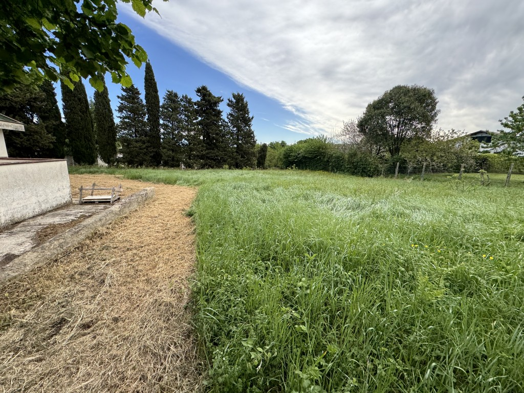 immagine annuncio 7 di 8