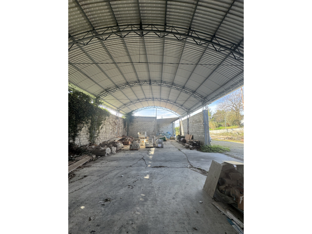 immagine annuncio 4 di 6