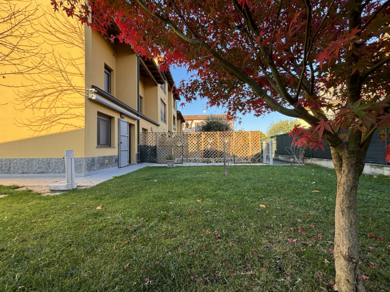 immagine annuncio 5 di 10