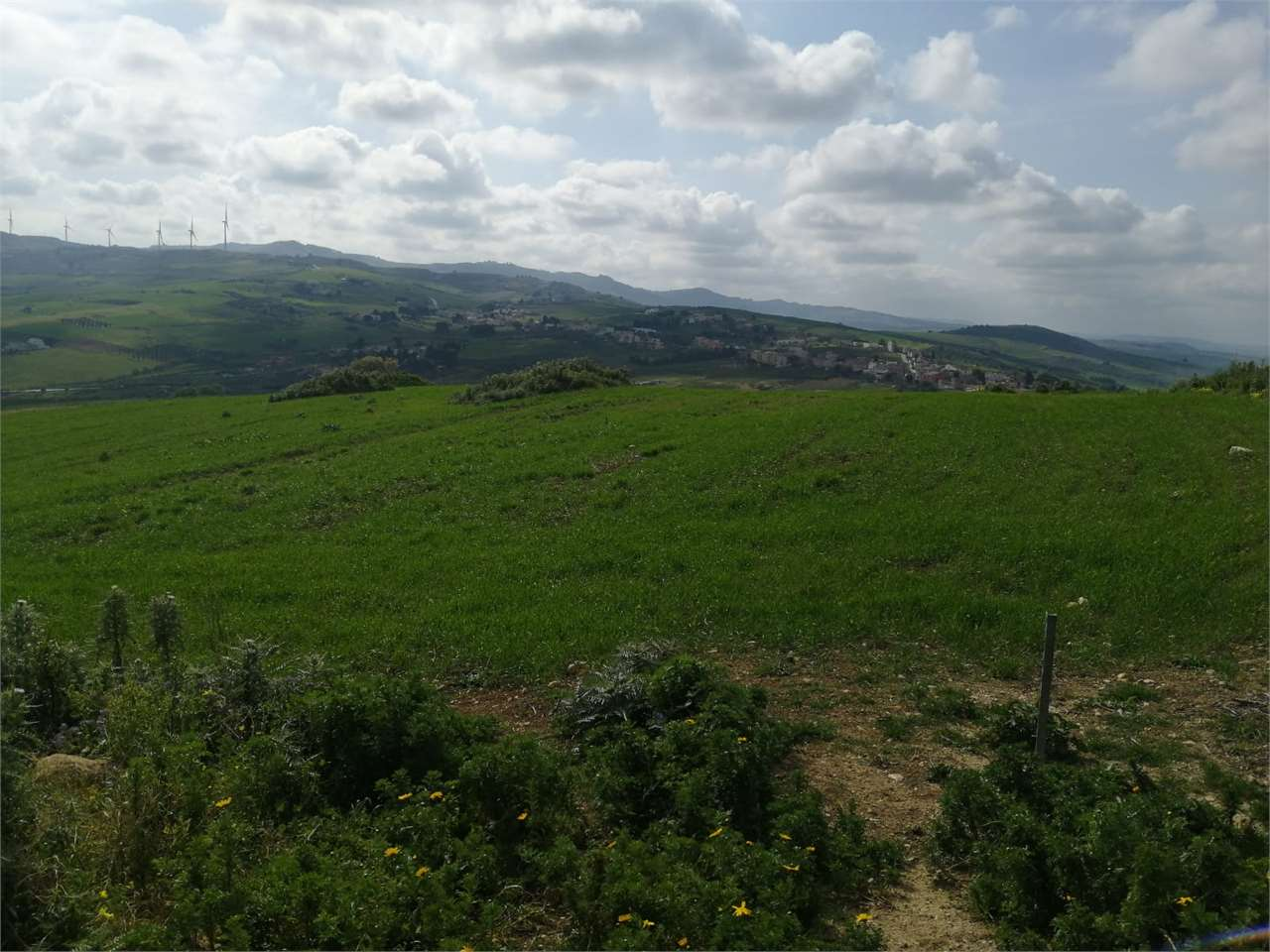 immagine annuncio 1 di 10