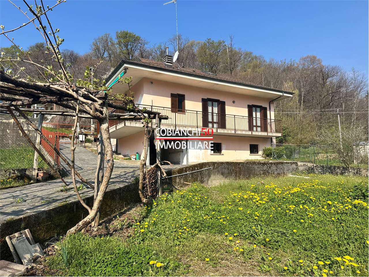 immagine annuncio 1 di 10