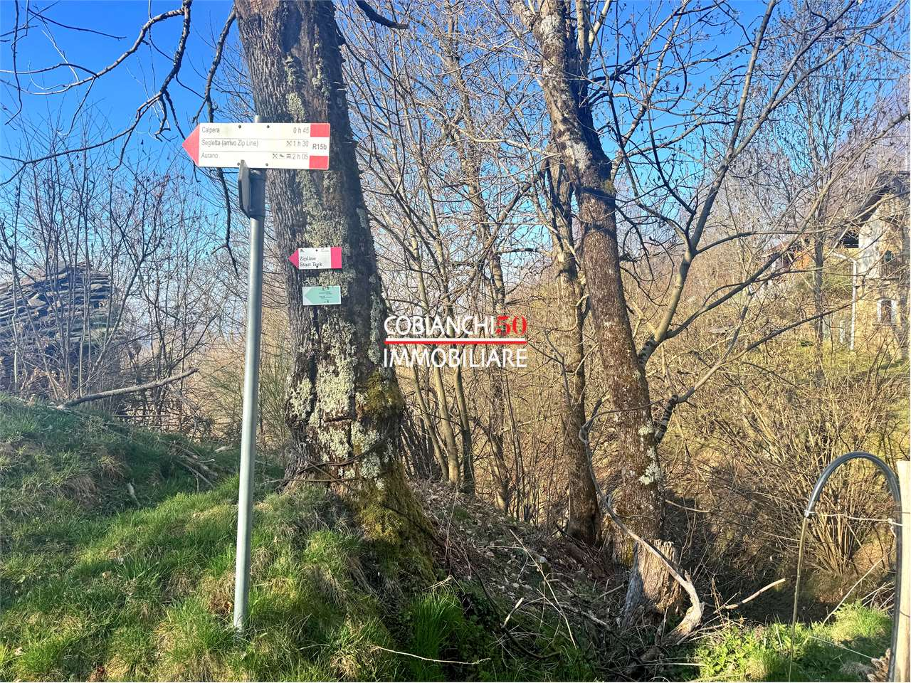 immagine annuncio 7 di 10