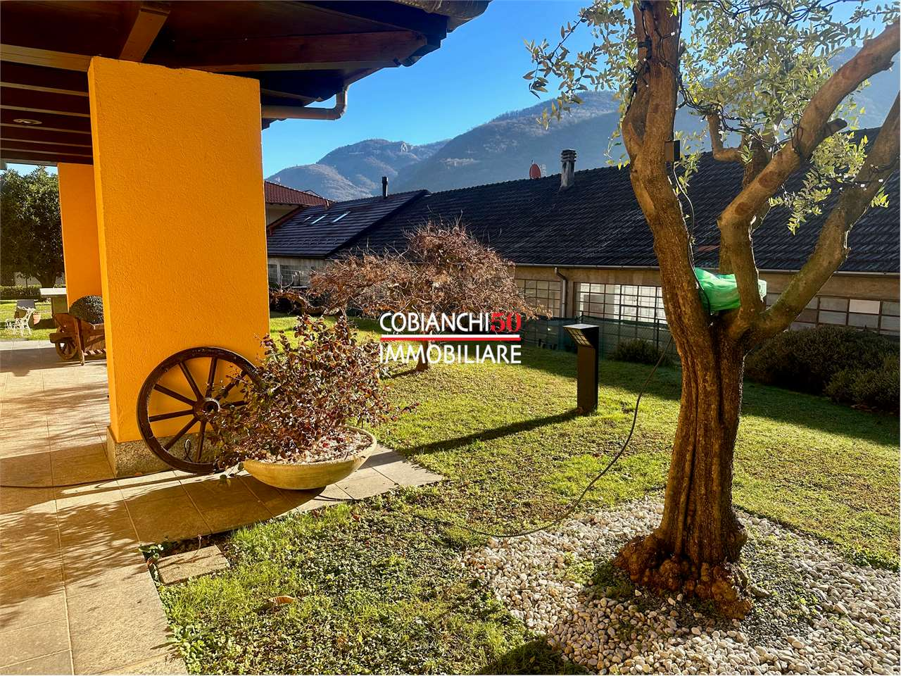 immagine annuncio 2 di 10