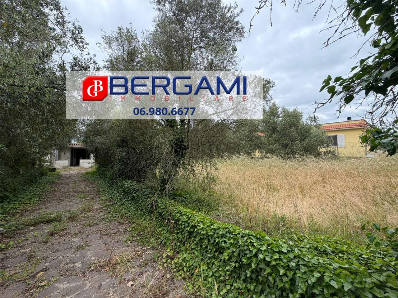 immagine annuncio 4 di 10