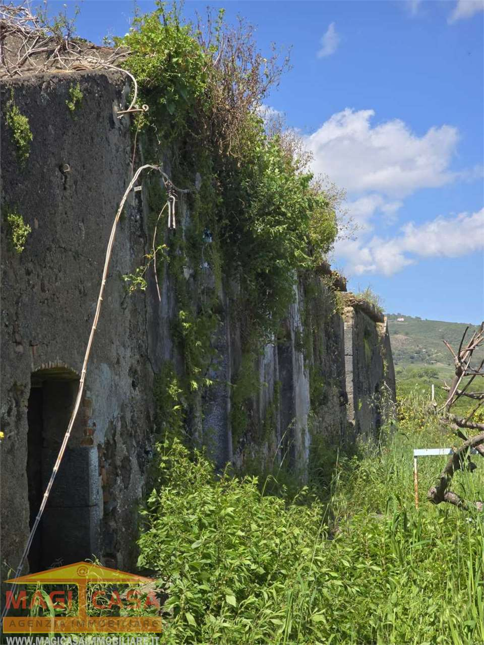 immagine annuncio 5 di 10