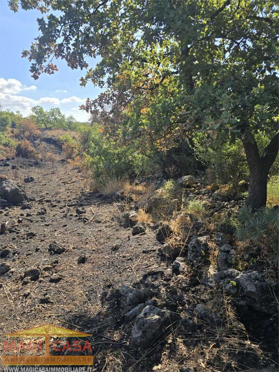 immagine annuncio 1 di 6