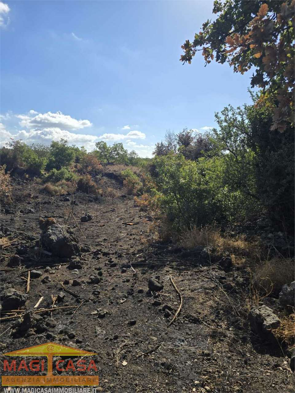 immagine annuncio 3 di 6