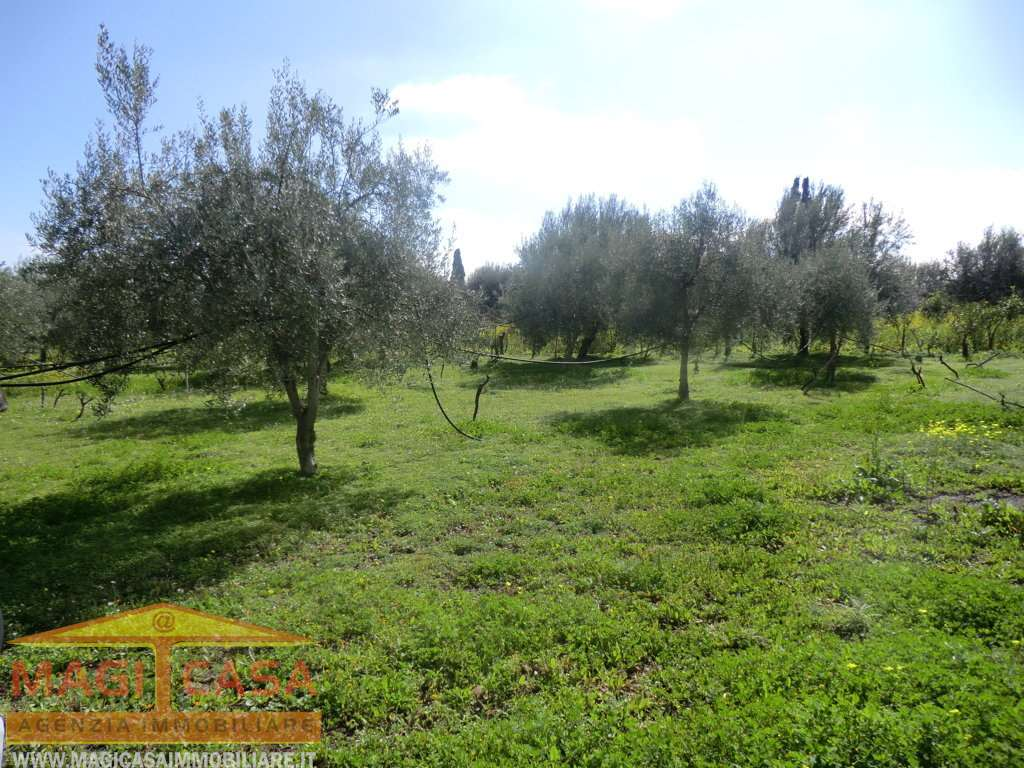 immagine annuncio 4 di 10