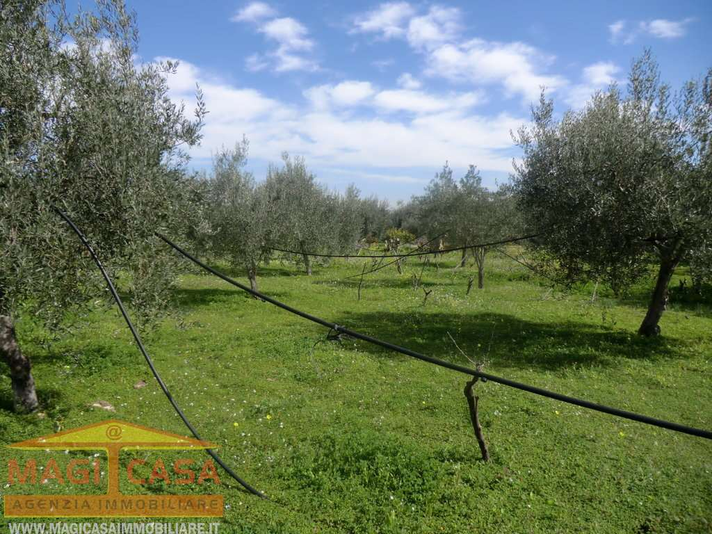 immagine annuncio 6 di 10